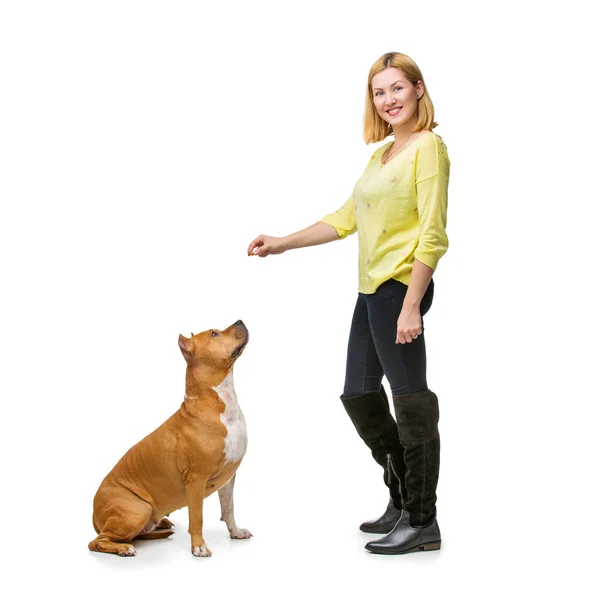 Girl with amstaff dog — Stock Photo, Image