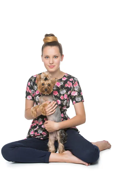 Menina com yorkie cão — Fotografia de Stock