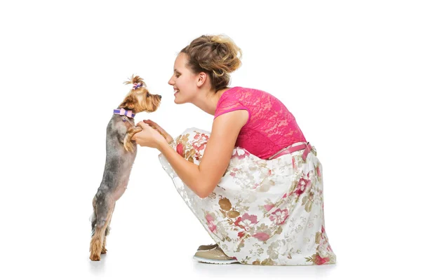 ヨーキー犬と少女 — ストック写真