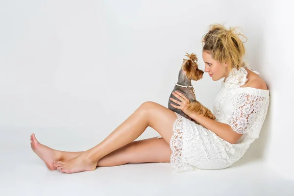 Girl in white dress with yorkie dog — Stock Photo, Image