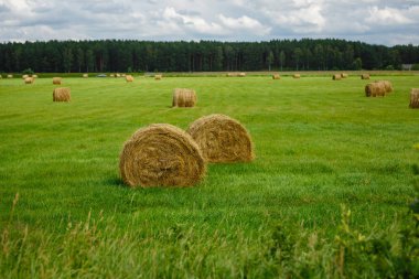 saman ile yeşil çayır rulo