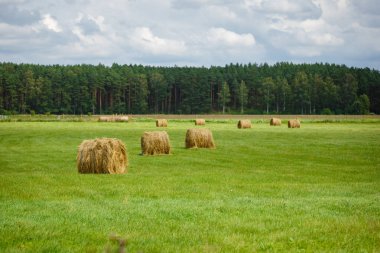 saman ile yeşil çayır rulo