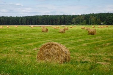 saman ile yeşil çayır rulo