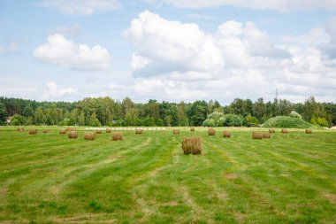 saman ile yeşil çayır rulo