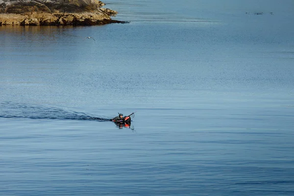 Uomo in barca nuoto per pesci — Foto Stock