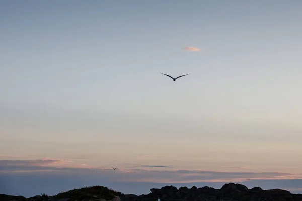 Vista de los fiordos noruegos — Foto de Stock