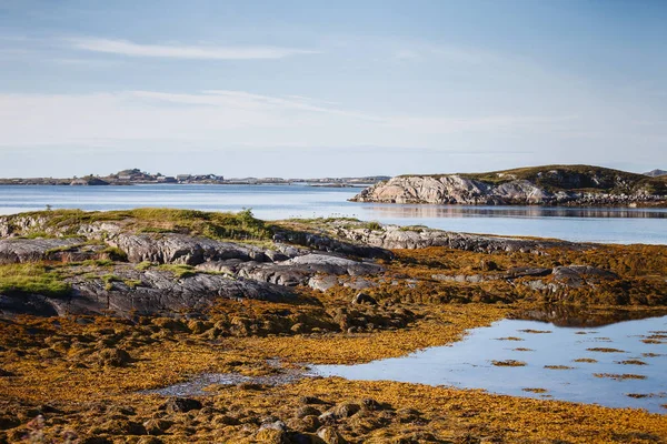 Norveç fiyortları güzel görünüm