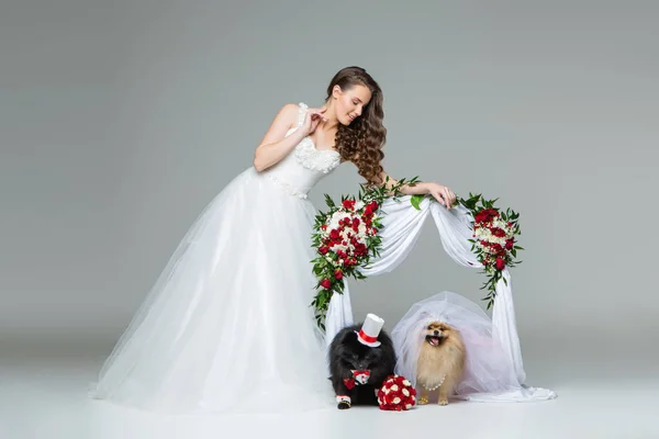 Nevěsta s pes svatební pár — Stock fotografie