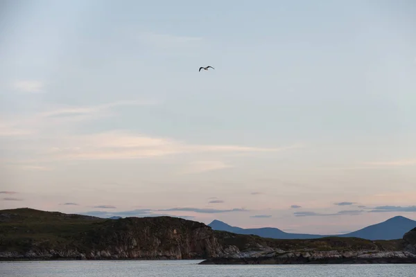 Vista sobre fiordes noruegueses e gaivota — Fotografia de Stock