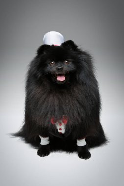 Spitz goom düğün elbiseli