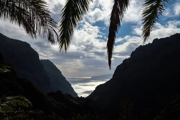 Paisaje con montañas y hojas de palmeras — Foto de Stock