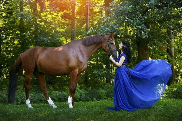 Menina bonita no vestido com cavalo — Fotografia de Stock