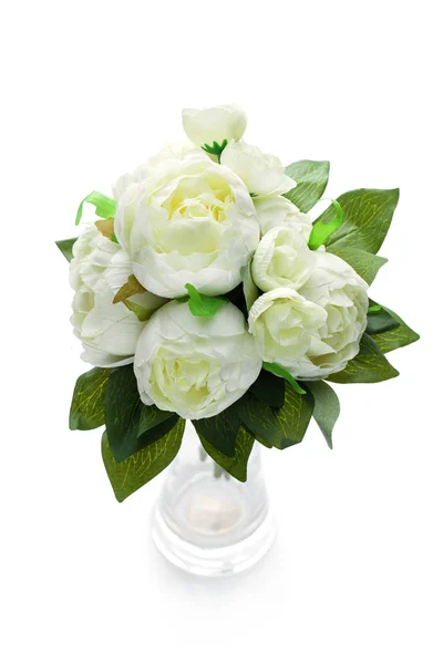 Peony flowers isolated on white — Stock Photo, Image