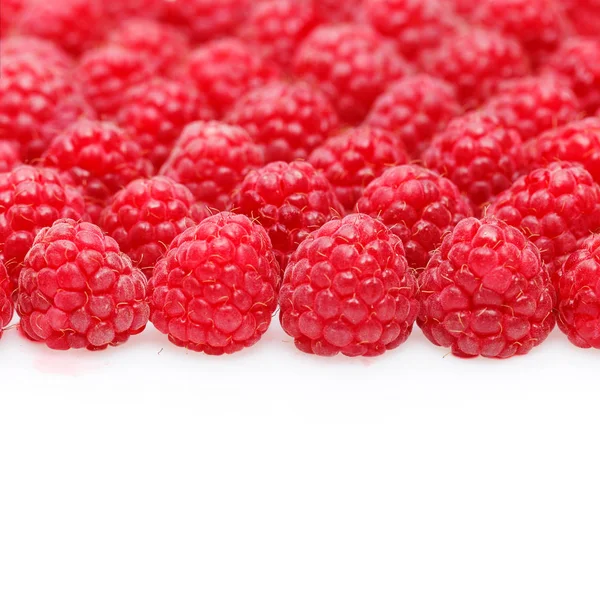 Many raspberry berries isolated on white — Stock Photo, Image