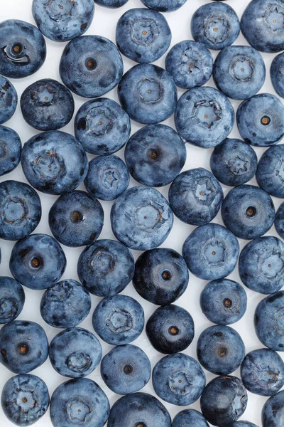 beyaz arkaplanda yaban mersini izole