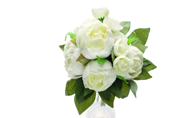 Pfingstrose Blüten isoliert auf weiß — Stockfoto