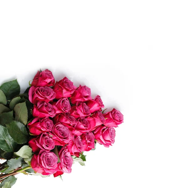 pembe Gül beyaz izole