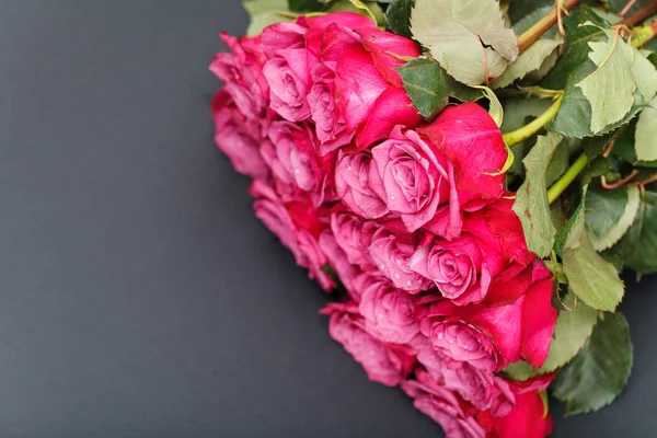 Rose rosa isolate su bianco — Foto Stock