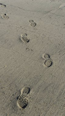 Adımları kuma basık