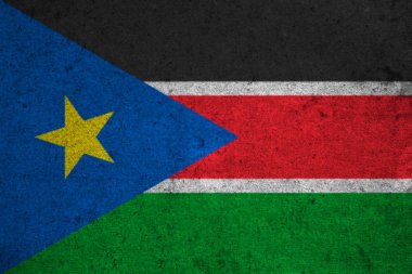 Grunge arka plan üzerinde bayrak