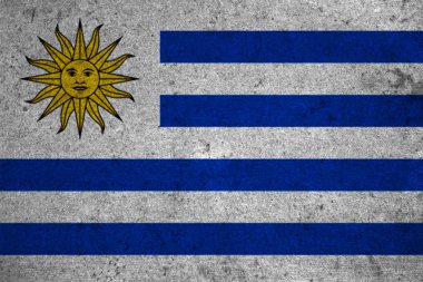 Ulusal grunge bayrak