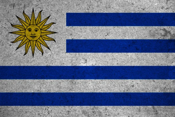 Ulusal grunge bayrak