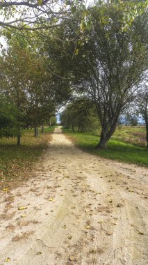 bir Parlatıcı günde bir doğal peyzaj sonbahar resim