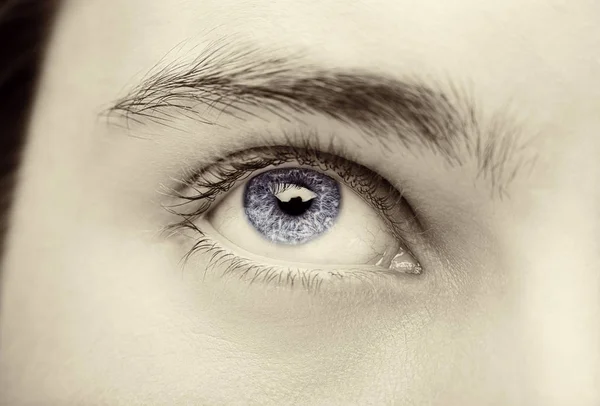 Anlayışlı göz mavi insan gözü görüntü kadar kapatın