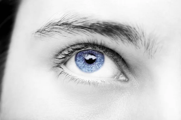 Primer plano imagen de mirada perspicaz azul ojo humano — Foto de Stock