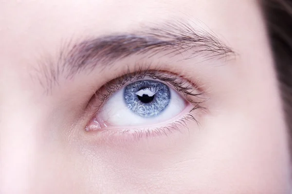 Закрыть изображение проницательного взгляда голубого человеческого глаза — стоковое фото