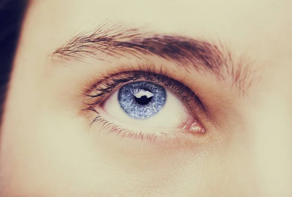 Image rapprochée de regard perspicace oeil humain bleu — Photo