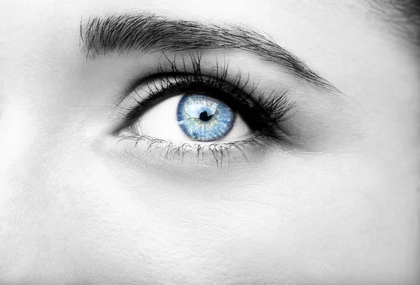 Güzel yorum içeren görünüm mavi kadının gözleri — Stok fotoğraf