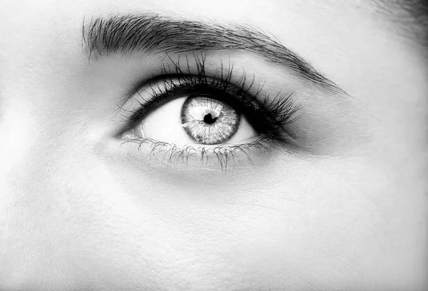 Anlayışlı güzel bakmak kadının gözleri. Tek renkli — Stok fotoğraf