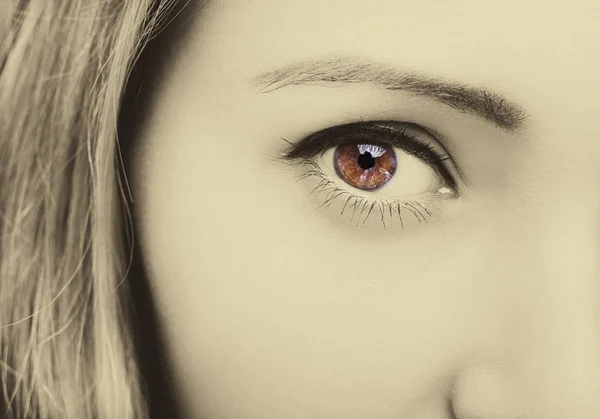 Mooie inzichtelijke blik bruine vrouw ogen — Stockfoto