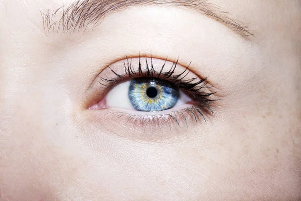 女人美丽有深刻的了解，蓝色的眼睛 — 图库照片