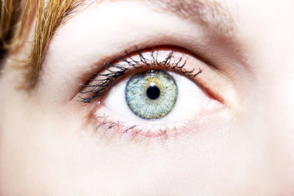 Bella sguardo perspicace occhi di donna blu — Foto Stock