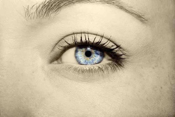 Schöner aufschlussreicher Blick blaue Frauenaugen — Stockfoto