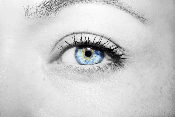 Bella sguardo perspicace occhi di donna blu — Foto Stock