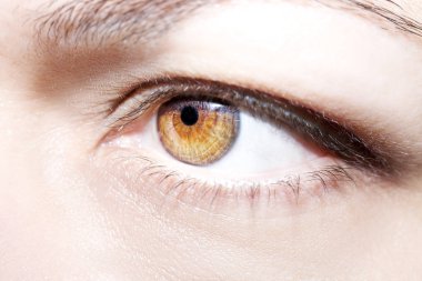 Güzel anlayışlı bakışlar Kahverengi kadın gözleri