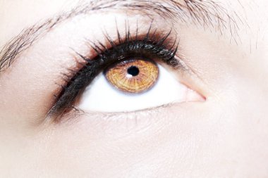 Güzel yorum içeren görünüm kahverengi kadının göz