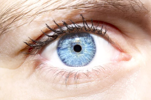 Красивий проникливий вигляд жіночого блакитного ока — стокове фото