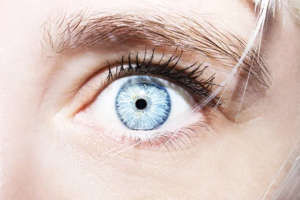 Красивый проницательный взгляд женского голубого глаза — стоковое фото