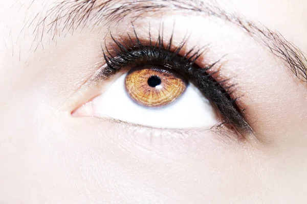 Beautiful insightful look brown woman's eye — Stock Photo, Image