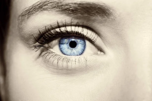 Красивый проницательный взгляд голубые глаза женщины — стоковое фото