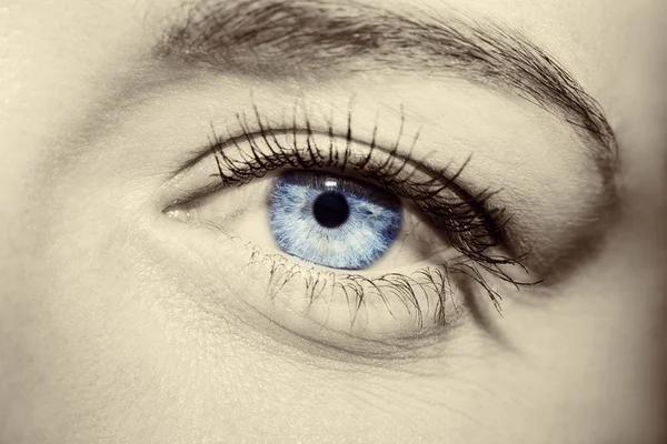 Beau regard perspicace yeux de femme bleue — Photo