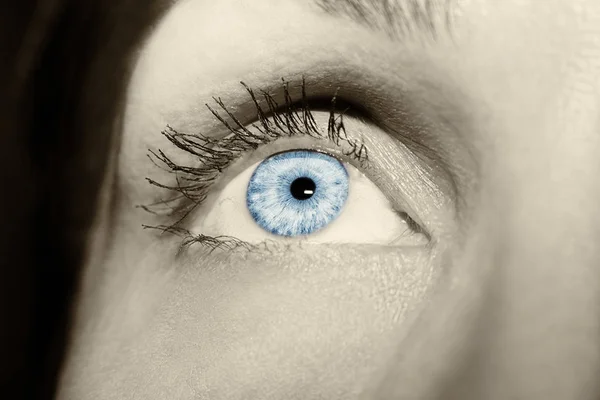Schöner aufschlussreicher Blick blaue Frauenaugen — Stockfoto
