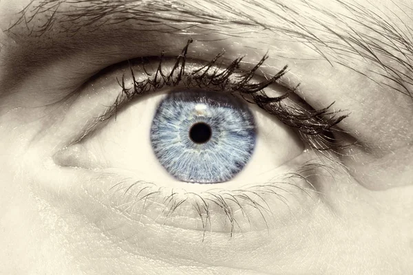 Hermosa mirada perspicaz ojo azul de las mujeres — Foto de Stock