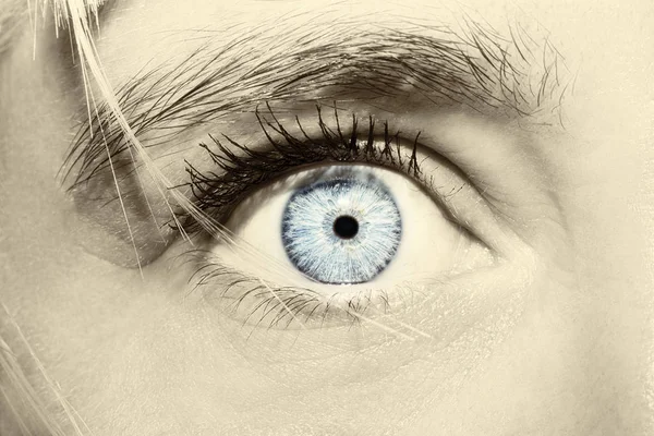 Красивый проницательный взгляд женского голубого глаза — стоковое фото