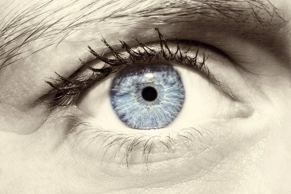 Красивый Проницательный Взгляд Женского Голубого Глаза — стоковое фото
