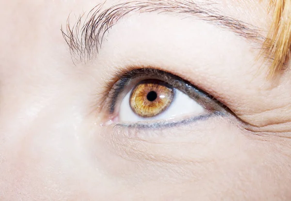 Belo olhar perspicaz olho de mulher marrom — Fotografia de Stock